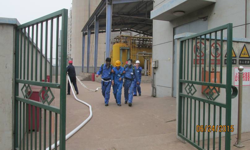 20250216152909.jpg 4.jpg