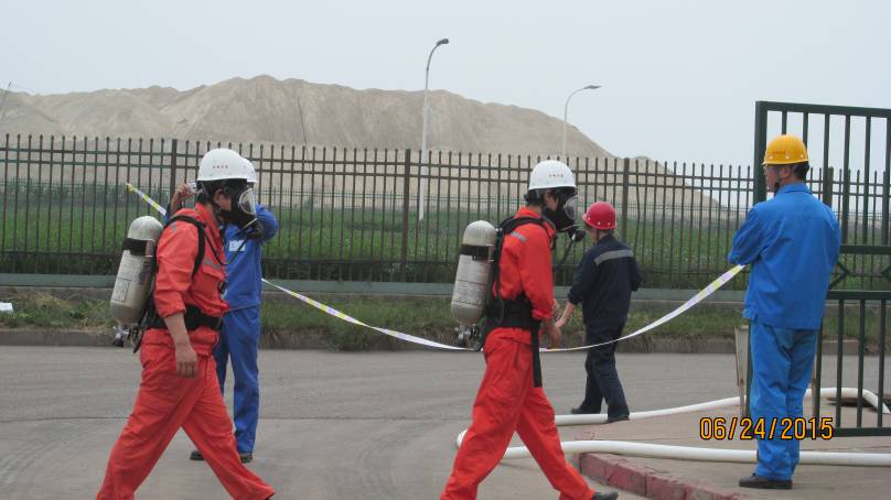 20250216161343.jpg 7.jpg